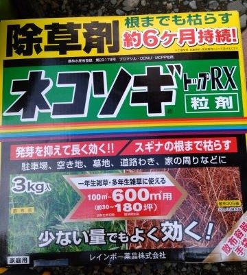 ���̍��̖l�́E�E�E�E������������́H part2