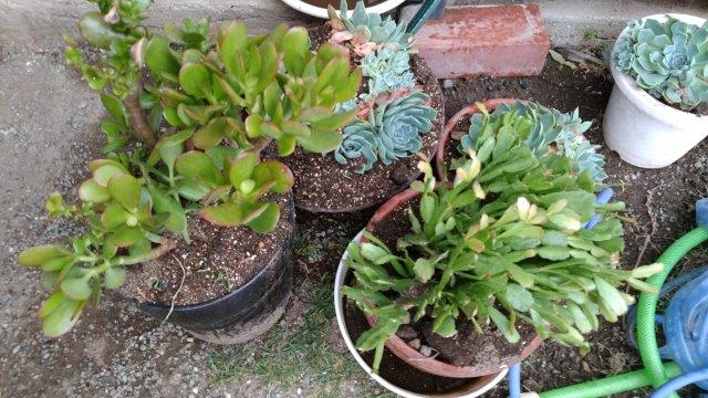 ���̍��̖l�́E�E�E�E������������́H part2