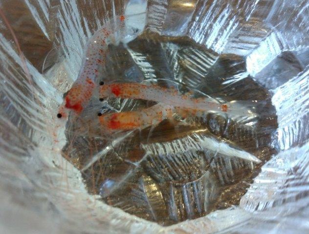 ���̍��̖l�́E�E�E�E������������́H part2