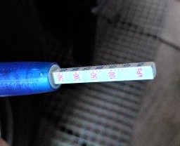 ���̍��̖l�́E�E�E�E������������́H part2