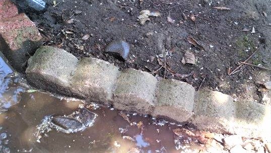 ���̍��̖l�́E�E�E�E������������́H part2