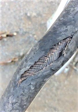 ���̍��̖l�́E�E�E�E������������́H part2