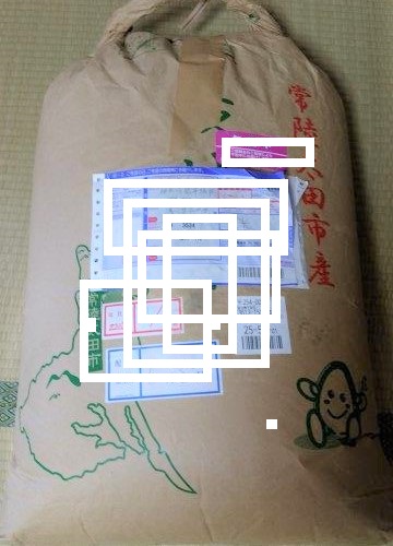 ���̍��̖l�́E�E�E�E������������́H part2