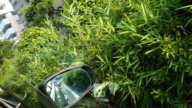 ���̍��̖l�́E�E�E�E������������́H part2