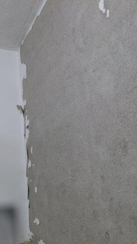 ���̍��̖l�́E�E�E�E������������́H part2