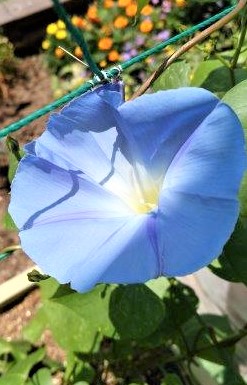 ���̍��̖l�́E�E�E�E������������́H part2