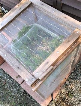 ���̍��̖l�́E�E�E�E������������́H part2