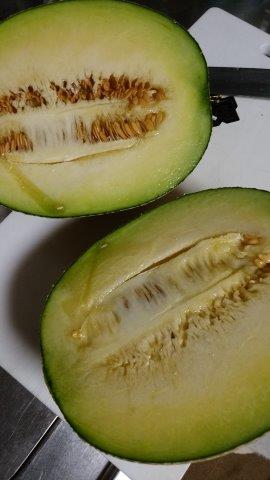 ���̍��̖l�́E�E�E�E������������́H part2