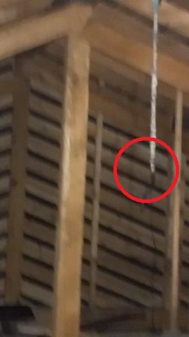 ���̍��̖l�́E�E�E�E������������́H part2