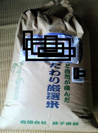 ���̍��̖l�́E�E�E�E������������́H part2