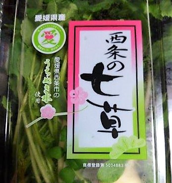 ���̍��̖l�́E�E�E�E������������́H part2