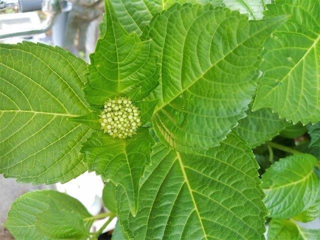 ���̍��̖l�́E�E�E�E������������́H part2