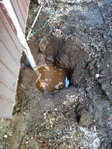 ���̍��̖l�́E�E�E�E������������́H part2