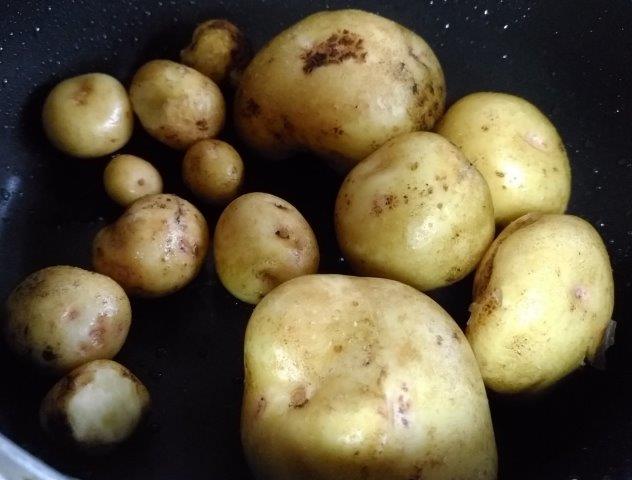 ���̍��̖l�́E�E�E�E������������́H part2