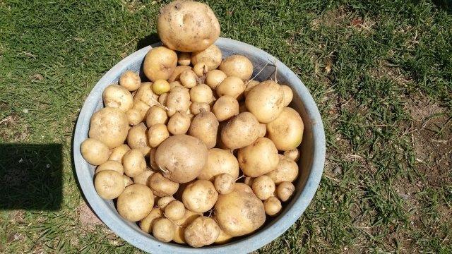 ���̍��̖l�́E�E�E�E������������́H part2