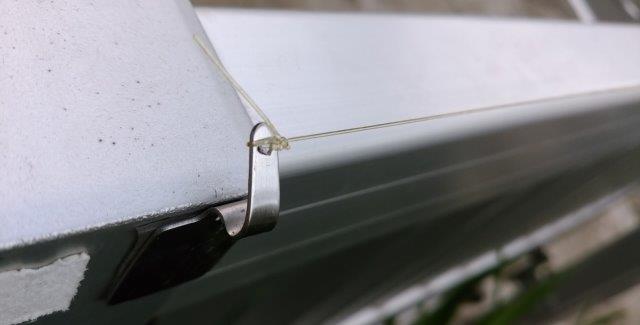 ���̍��̖l�́E�E�E�E������������́H part2