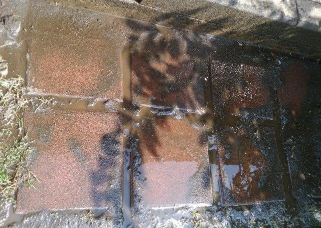 ���̍��̖l�́E�E�E�E������������́H part2