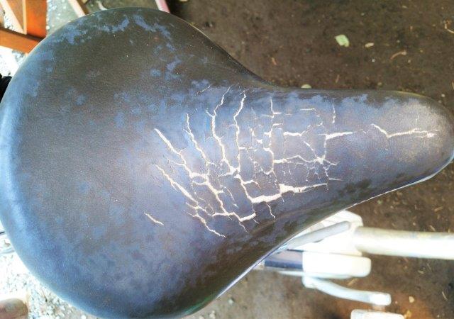 ���̍��̖l�́E�E�E�E������������́H part2