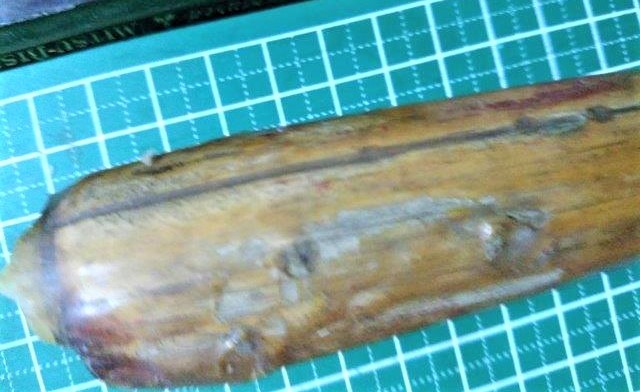 ���̍��̖l�́E�E�E�E������������́H part2