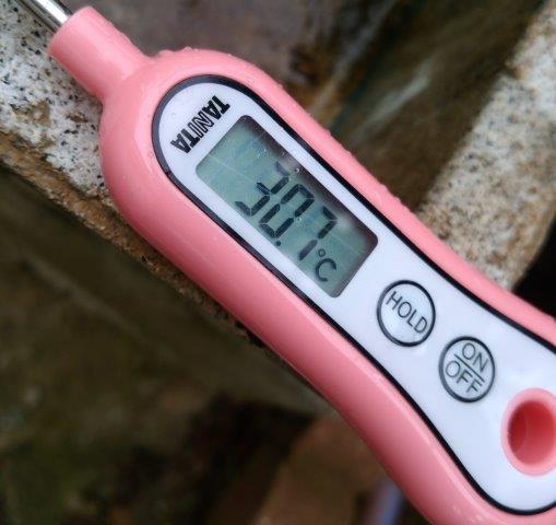 ���̍��̖l�́E�E�E�E������������́H part2