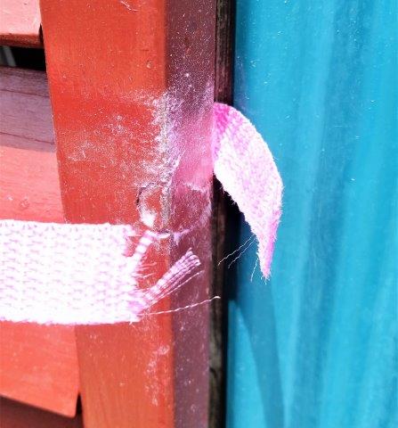 ���̍��̖l�́E�E�E�E������������́H part2