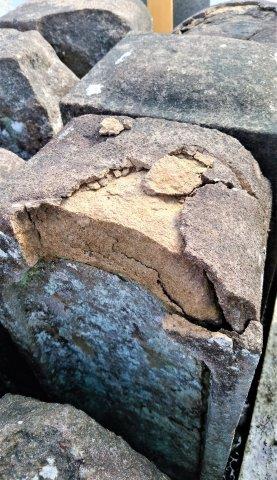 ���̍��̖l�́E�E�E�E������������́H part2