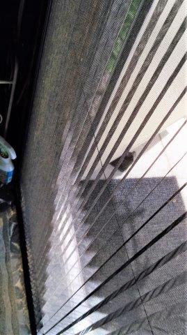 ���̍��̖l�́E�E�E�E������������́H part2