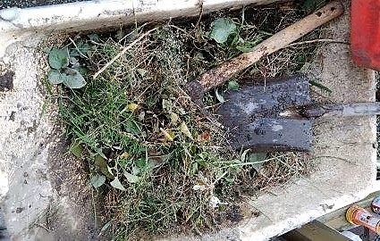 ���̍��̖l�́E�E�E�E������������́H part2