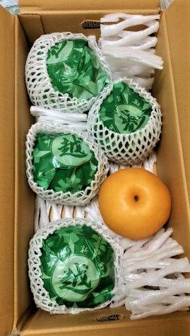 ���̍��̖l�́E�E�E�E������������́H part2