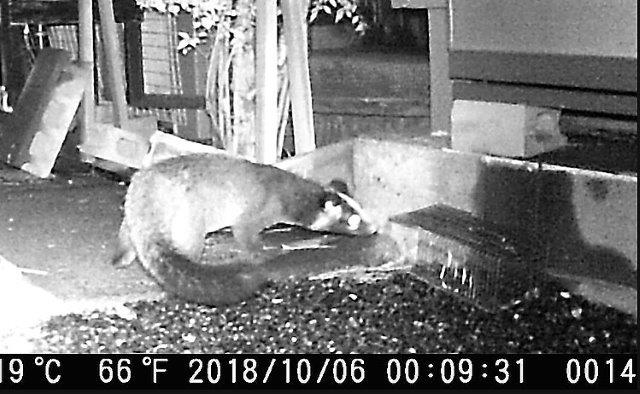 ���̍��̖l�́E�E�E�E������������́H part2