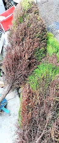 ���̍��̖l�́E�E�E�E������������́H part2