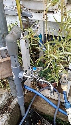 ���̍��̖l�́E�E�E�E������������́H part2