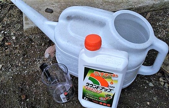 ���̍��̖l�́E�E�E�E������������́H part2