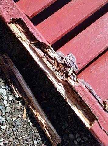 ���̍��̖l�́E�E�E�E������������́H part2