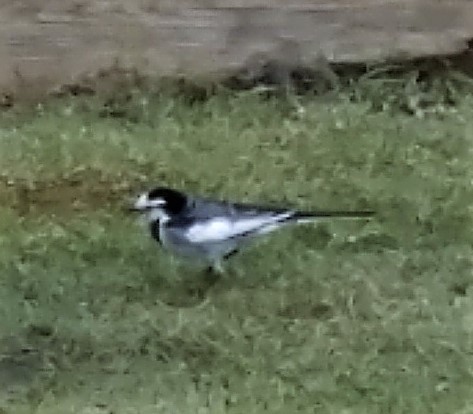 ���̍��̖l�́E�E�E�E������������́H part2