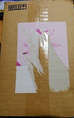 ���̍��̖l�́E�E�E�E������������́H part2