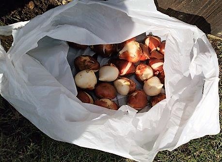 ���̍��̖l�́E�E�E�E������������́H part2