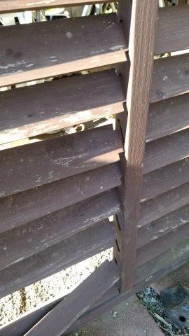 ���̍��̖l�́E�E�E�E������������́H part2