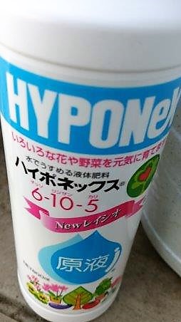 ���̍��̖l�́E�E�E�E������������́H part2