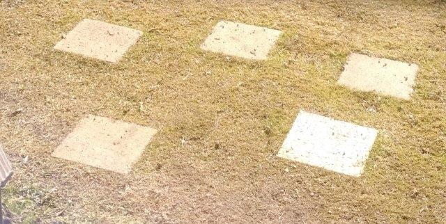 ���̍��̖l�́E�E�E�E������������́H part2