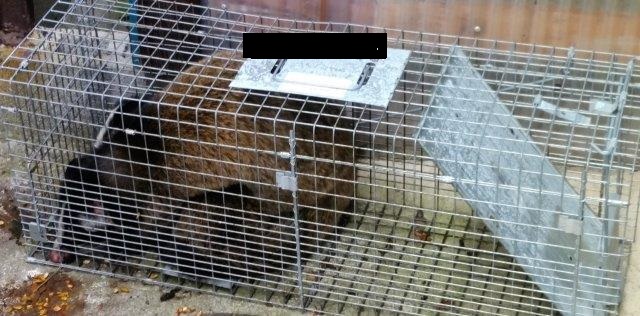 ���̍��̖l�́E�E�E�E������������́H part2