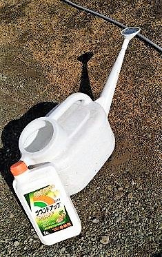 ���̍��̖l�́E�E�E�E������������́H part2