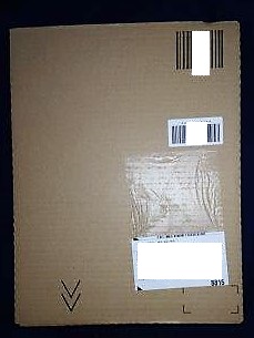 ���̍��̖l�́E�E�E�E������������́H part2