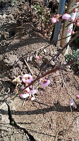 ���̍��̖l�́E�E�E�E������������́H part2