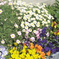 ���̍��̖l�́E�E�E�E�E������������́H