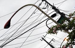 ���̍��̖l�́E�E�E�E�E������������́H