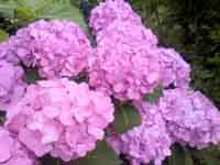 ���̍��̖l�́E�E�E�E�E������������́H