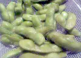 ���̍��̖l�́E�E�E�E�E������������́H