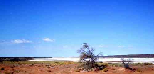 ���̍��̖l�́E�E�E�E�E������������́H