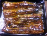 ���̍��̖l�́E�E�E�E�E������������́H